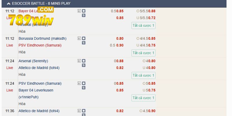 Thể Thao 789WIN – Trực tiếp mọi trận cầu, bắt trọn từng khoảnh khắc Đặt cược cho loại kèo mà mình yêu thích